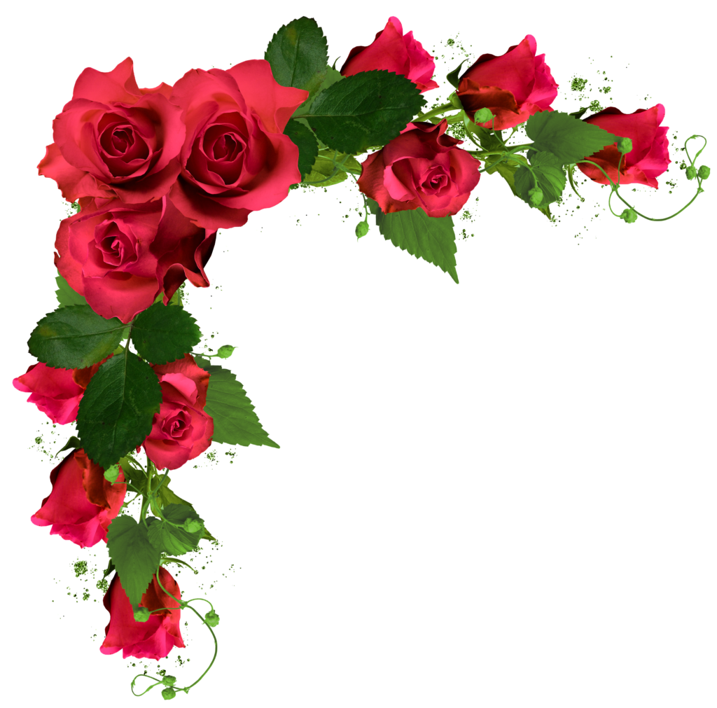 Beautiful Decor with Roses PNG Clipart Picture  Flowers