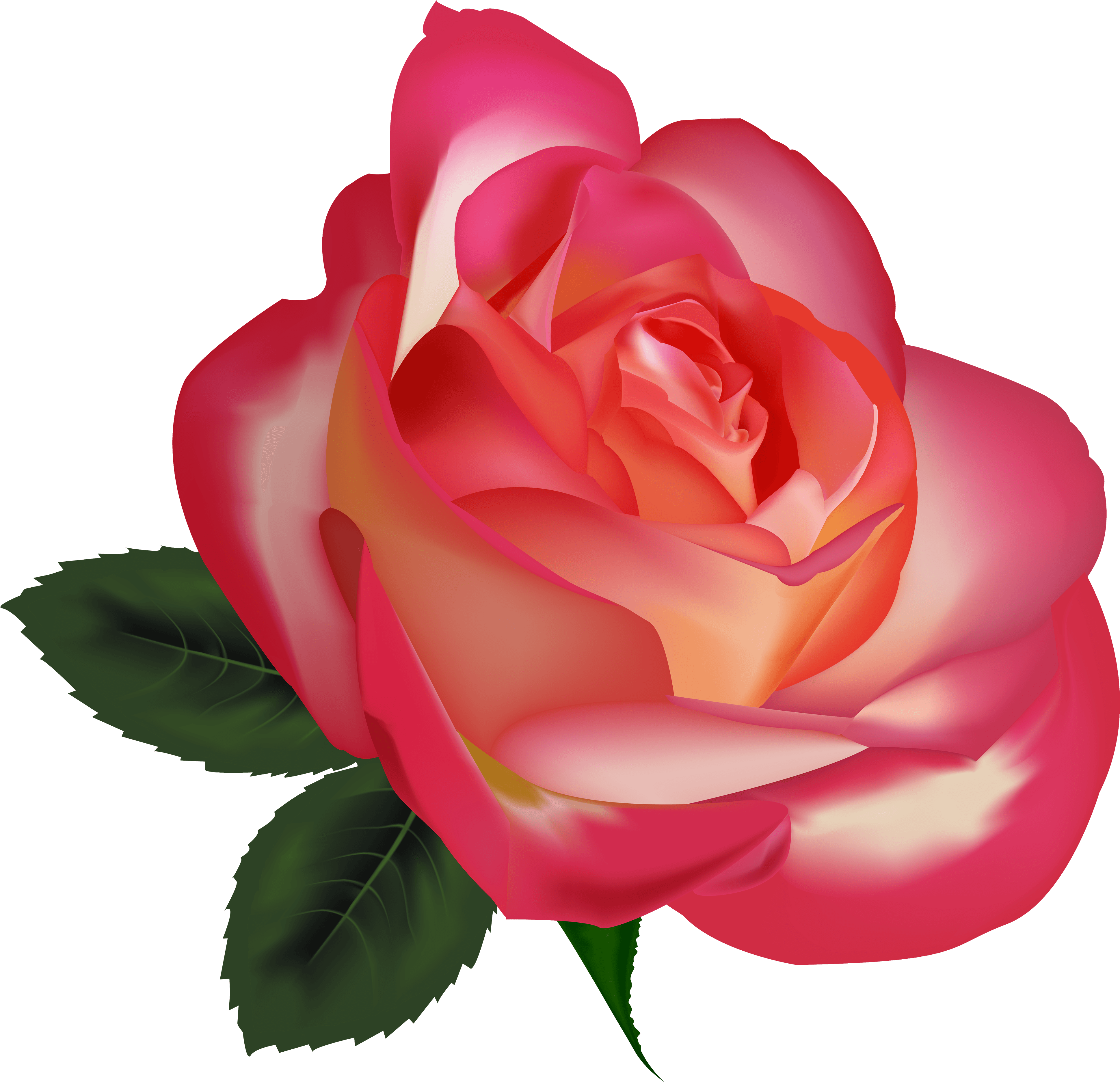 Beautiful Rose Clip Art Clipart Free Download  Realistic