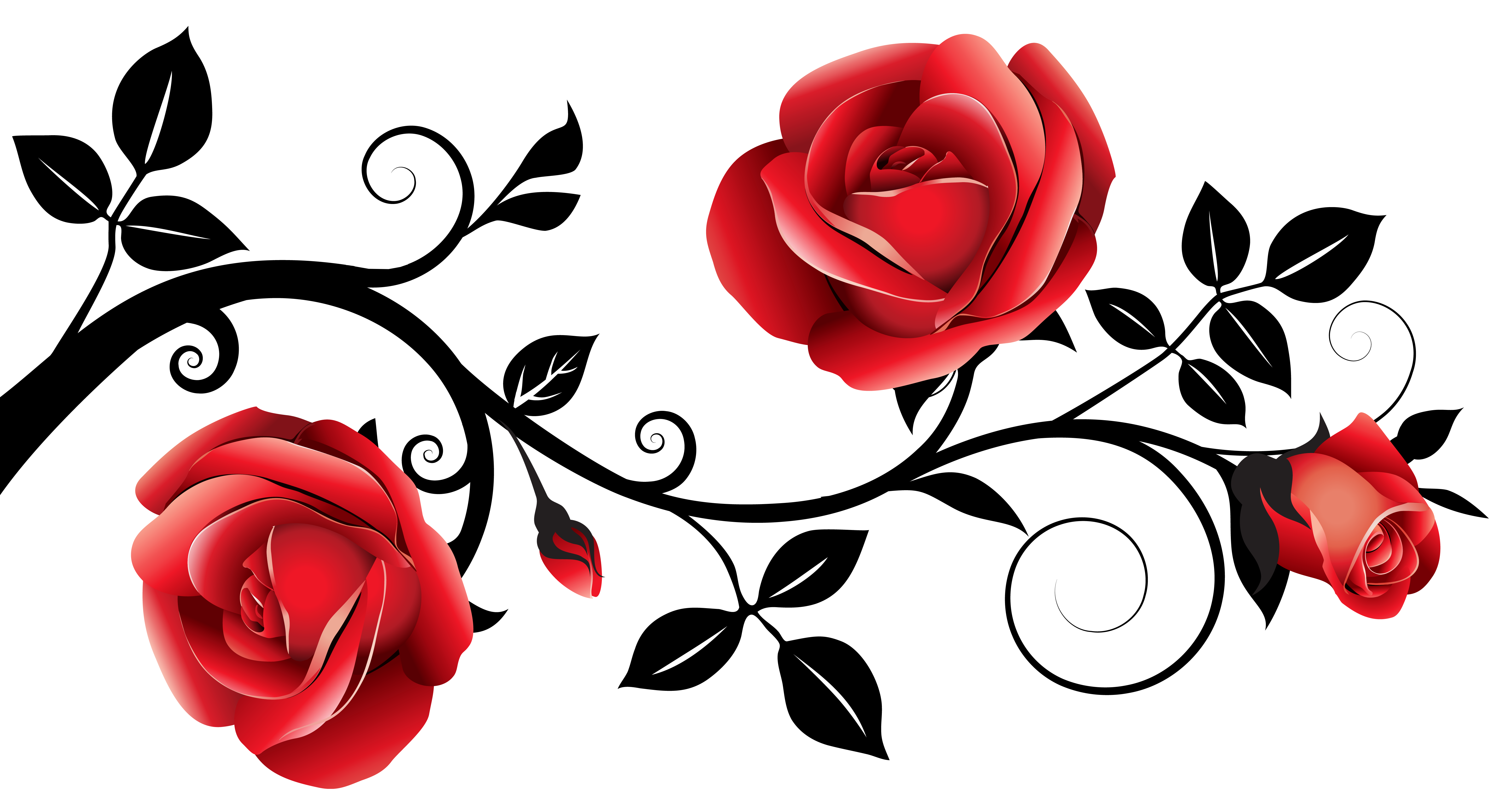 Black Rose Clipart  Free download on ClipArtMag