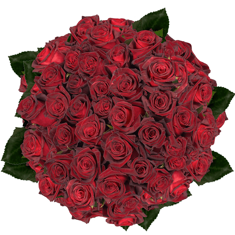 Premium Long Stem Black Roses  GlobalRose