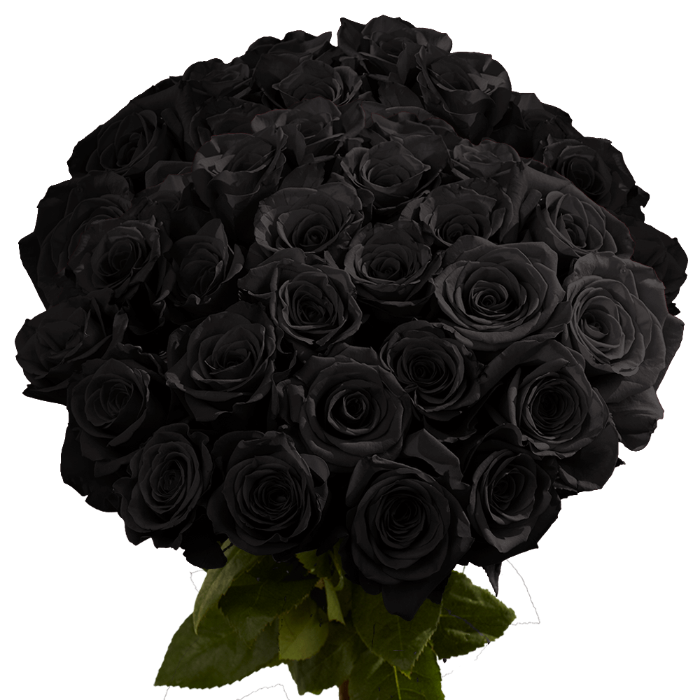 Black Roses  GlobalRose