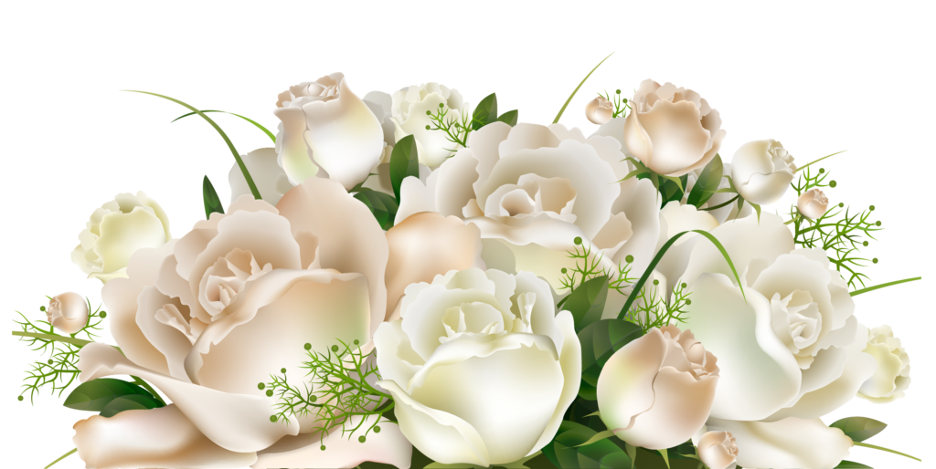 White Roses Decoration PNG Clipart Picture  Artistically