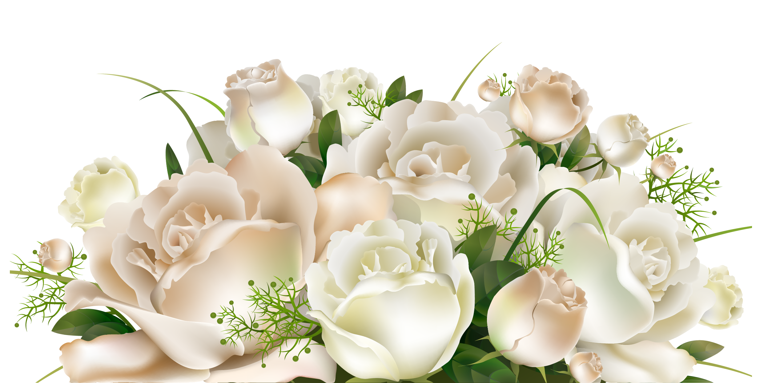 White Roses Decoration PNG Clipart Picture  Artistically