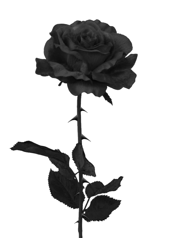 Black And White Pictures Of Roses  Clipartsco