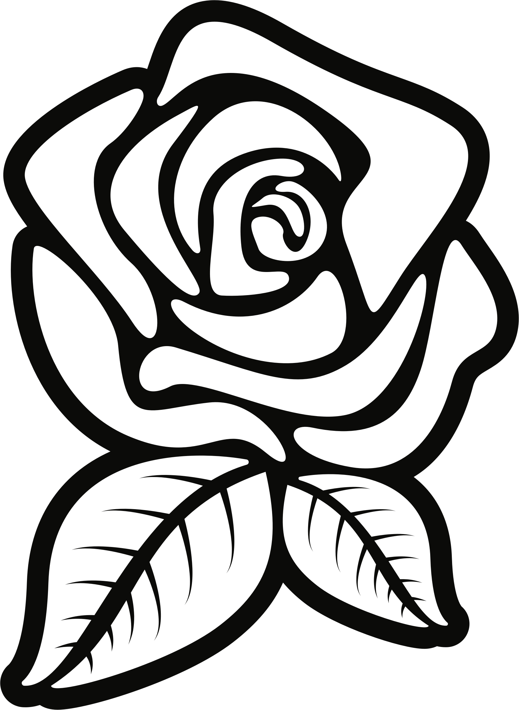 flower outline png - Rose Clipart Outline Great Free ... - Black and White Rose Backgrounds