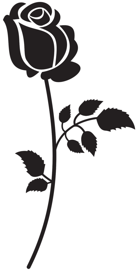 Rose Black And White Clipart  Free download on ClipArtMag