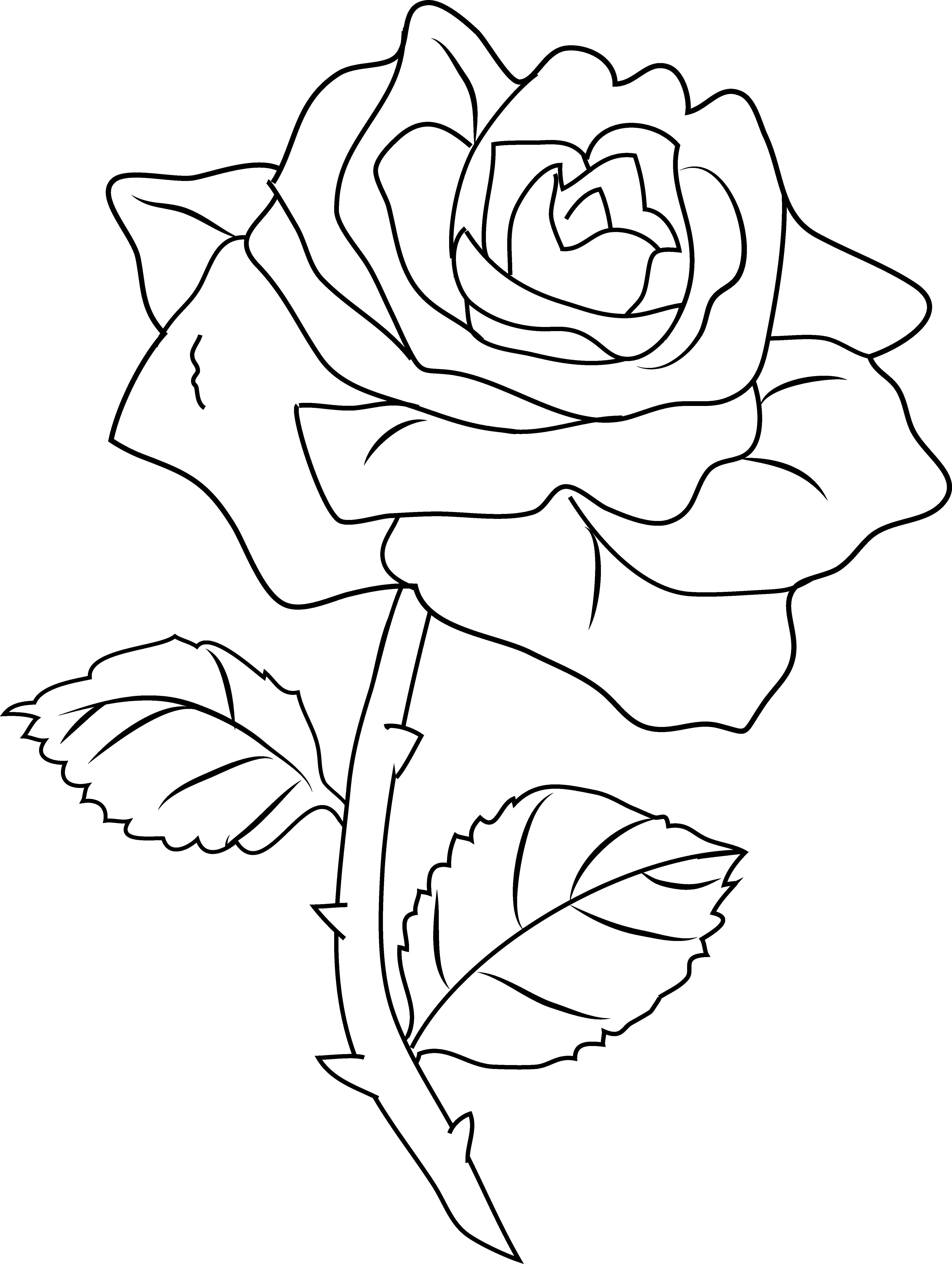 knumathise: Rose Clip Art Outline Images - Black and White Rose Clip Art