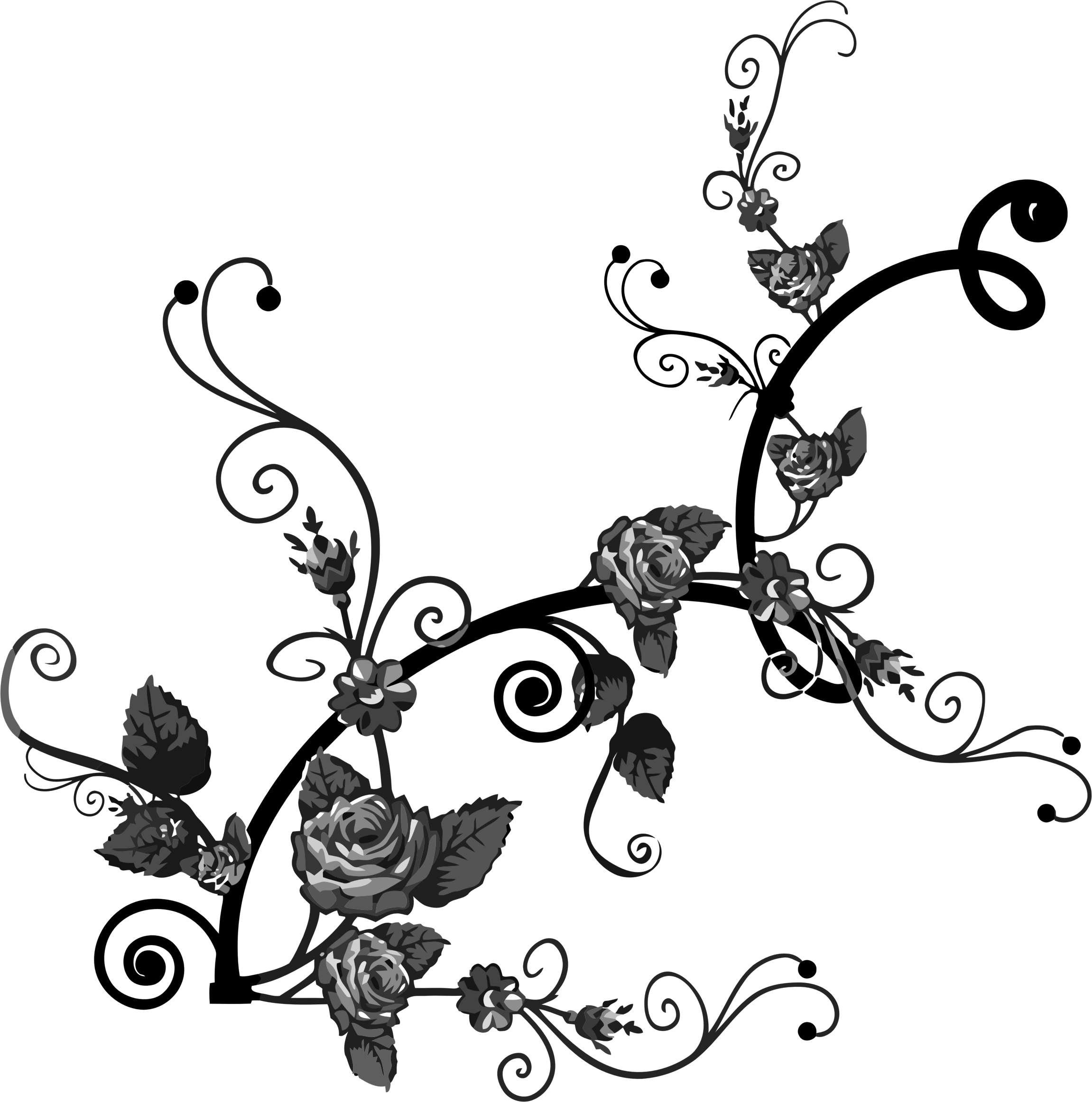Design clipart rose, Design rose Transparent FREE for ... - Black and White Rose Mural