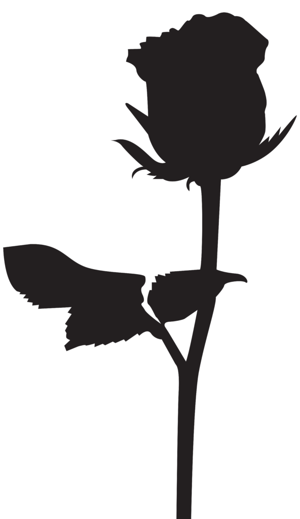 Black Rose Silhouette at GetDrawings  Free download