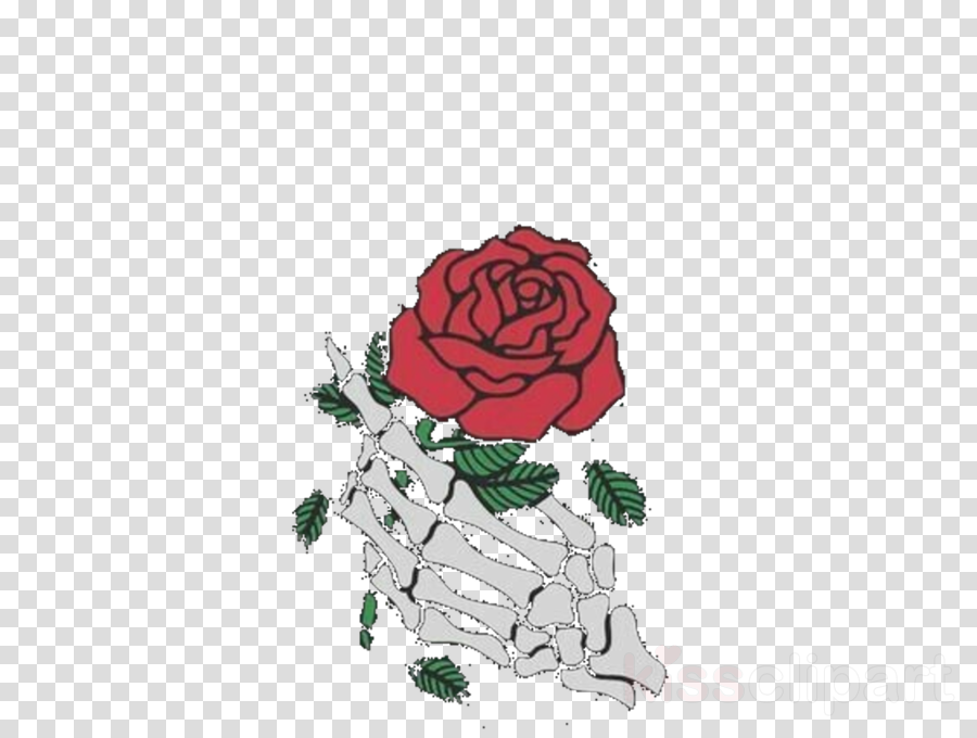 Library of aesthetic roses vector freeuses png files