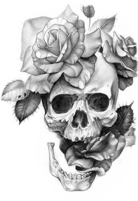 Khám phá nhãn dán mà bạn đã tạo với PicsArt  Skull rose