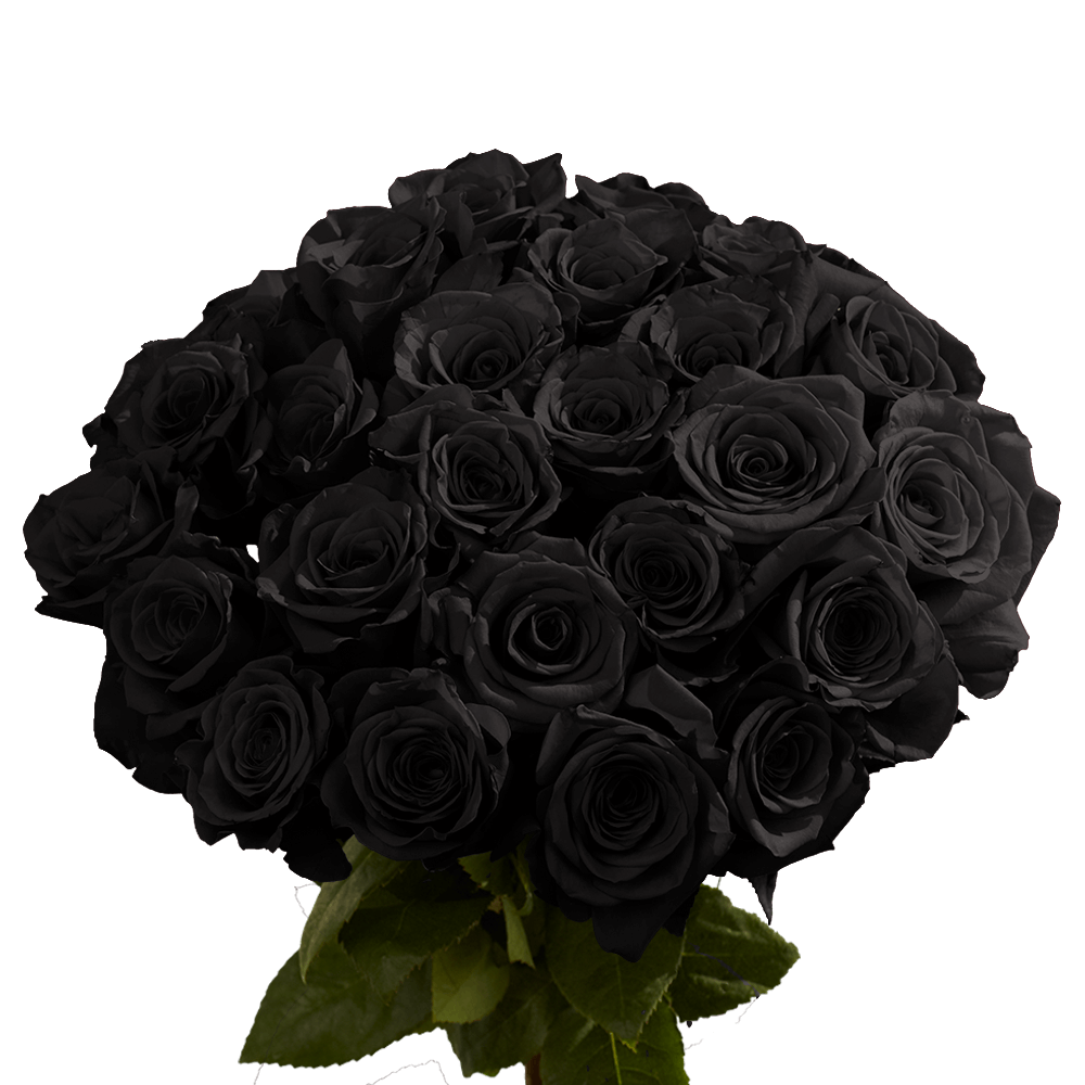 50 Black RosesOvernight  GlobalRose