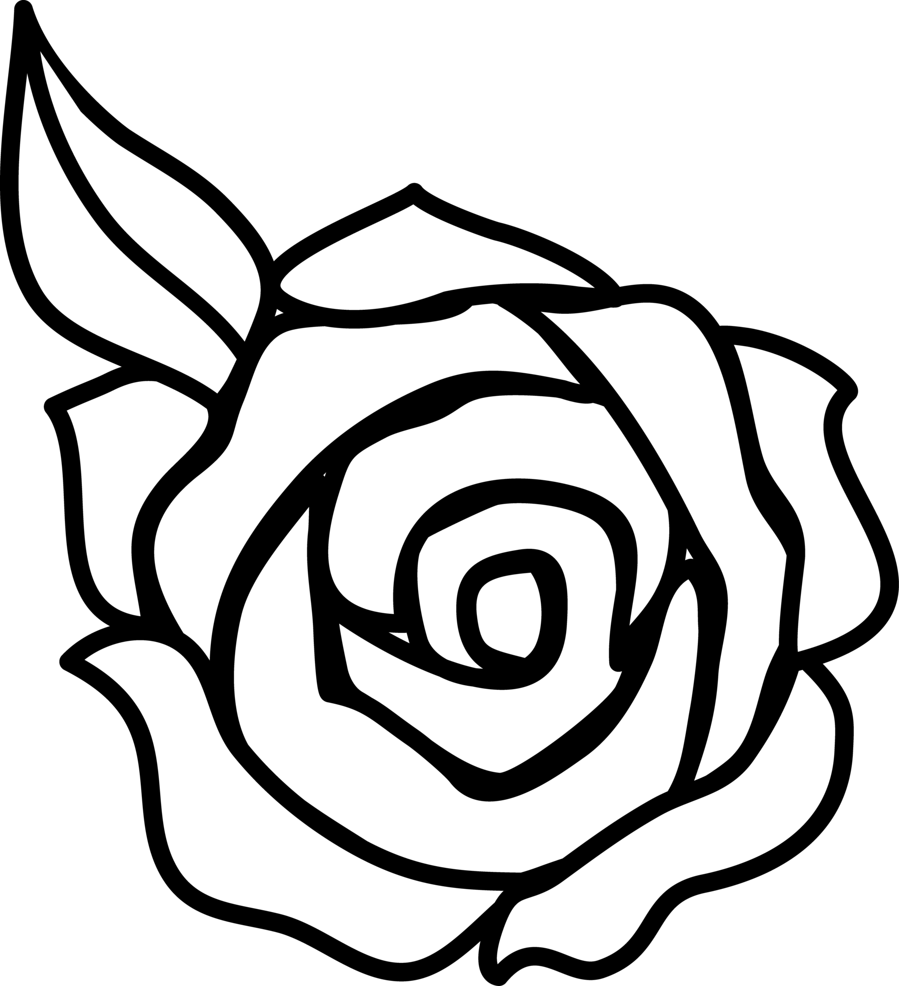 rose drawing  Google Search  Rose coloring pages Roses