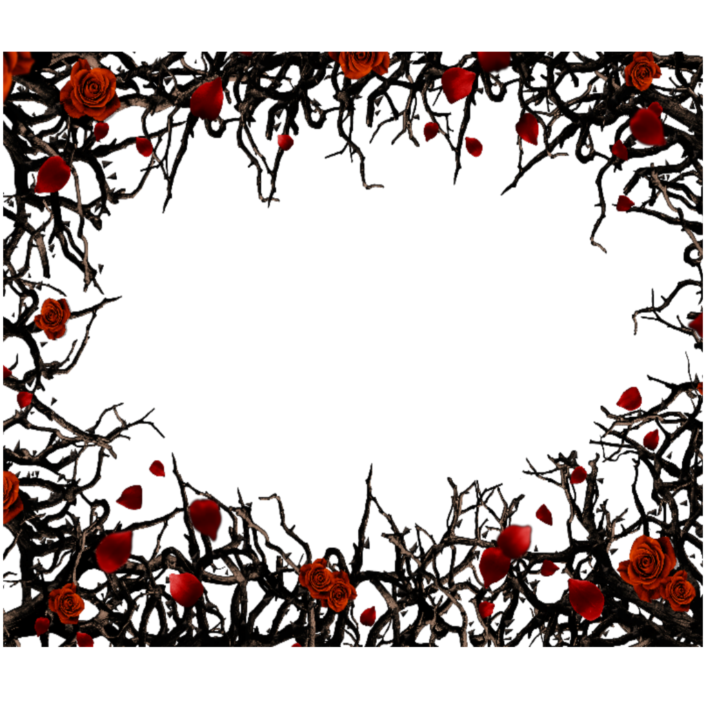 mq red black roses gothic frame frames border borders