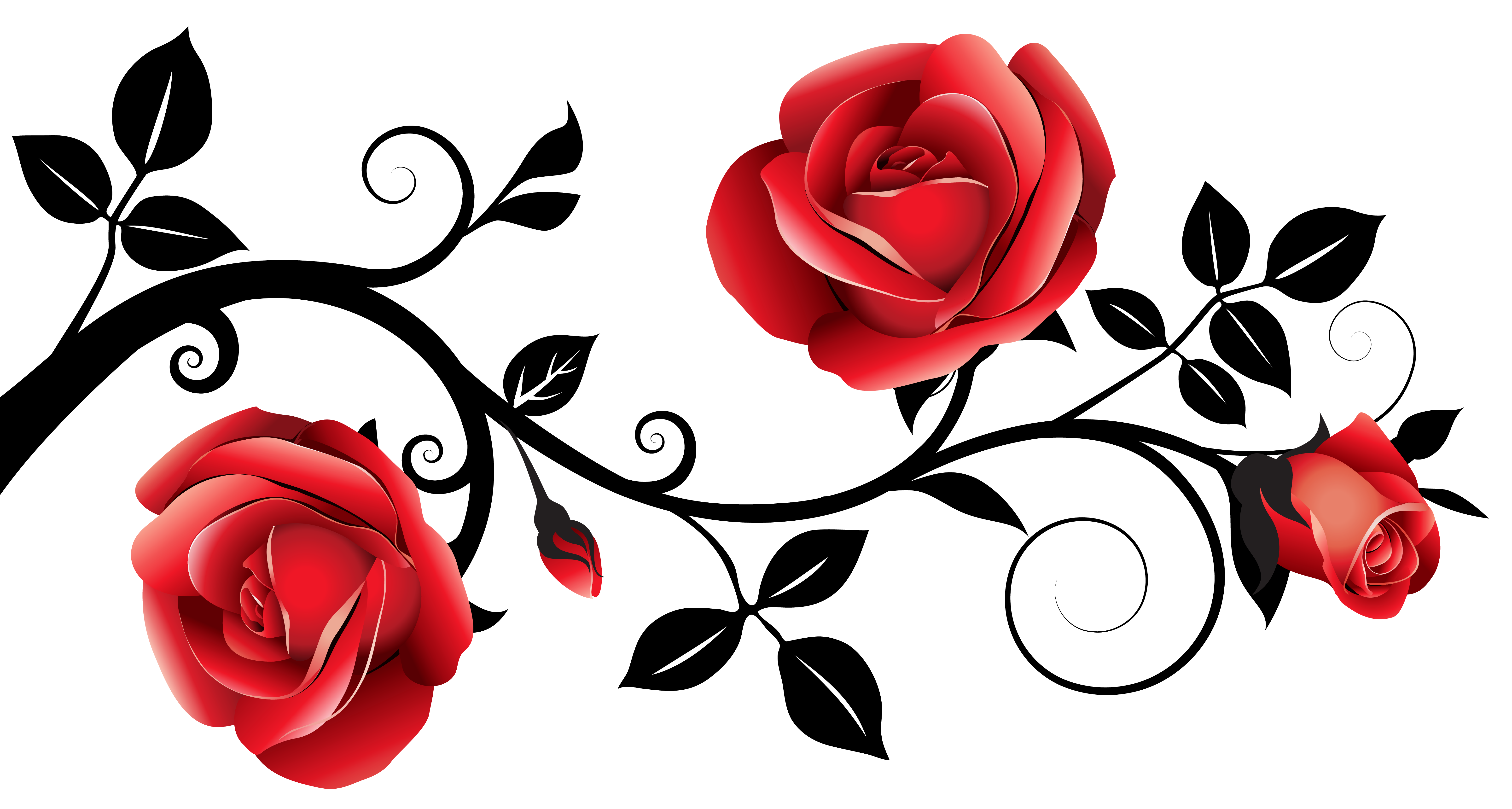 Black Rose Clipart  Free download on ClipArtMag