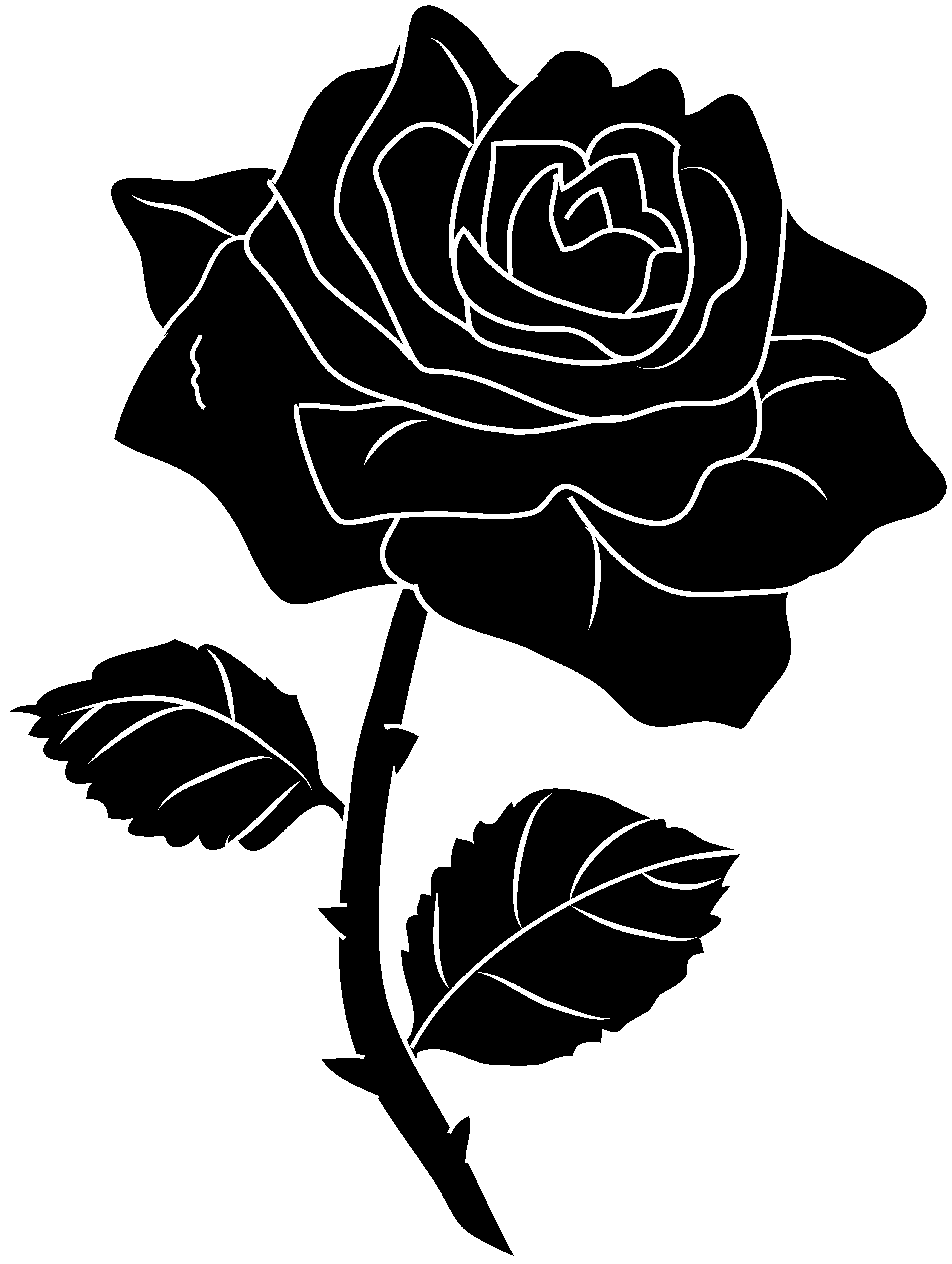 Rose black and white clipart collection  Silhouette clip