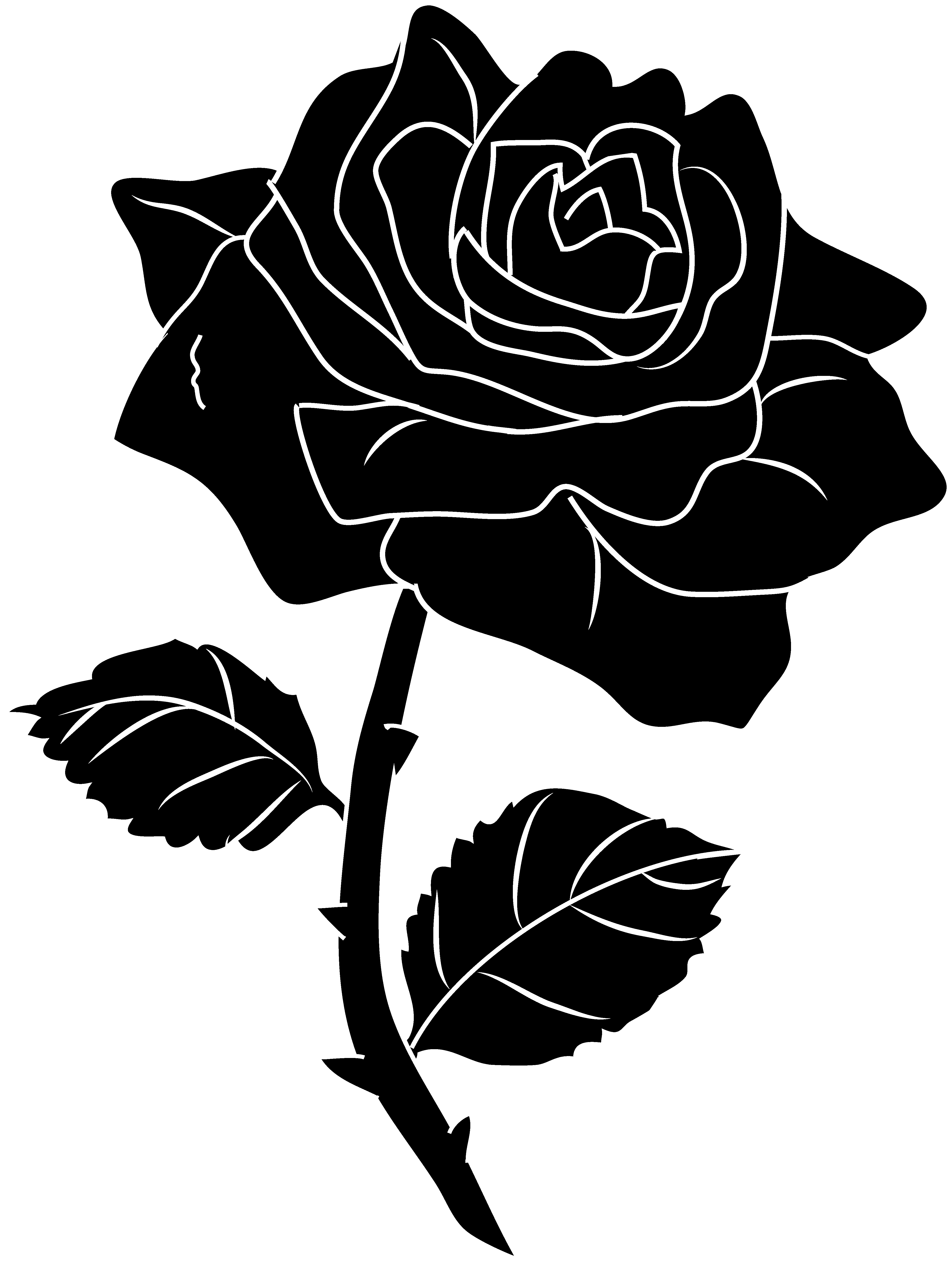 Rose Flower Png Black And White  Free Rose Flower Black
