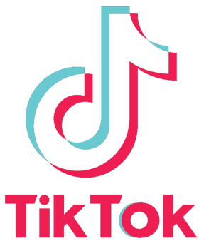 Tiktok Tik Tok Logo T Shirt