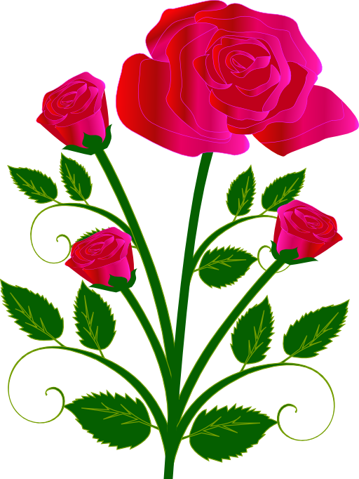 Rose Clipart  i2Clipart  Royalty Free Public Domain Clipart
