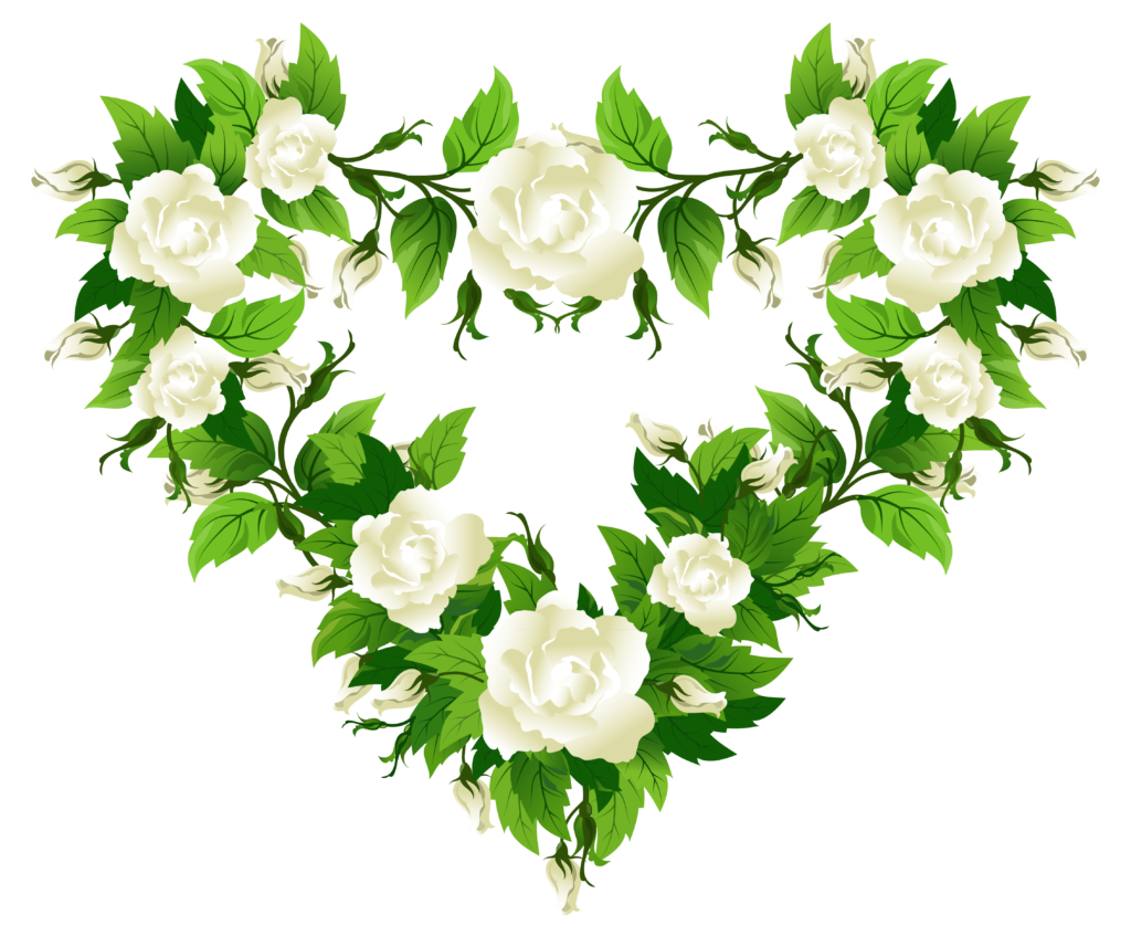white flowers png  Clip Art Library