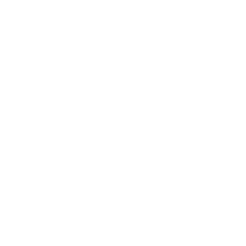 Amazon icon