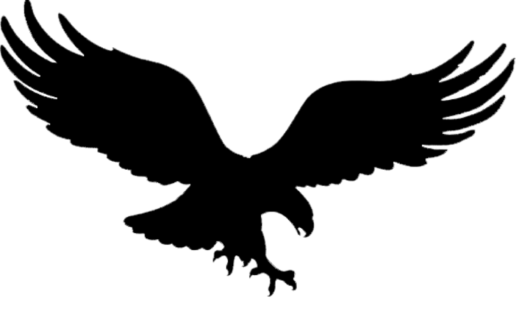 Bald Eagle Golden eagle Tattoo Black eagle  winged eagle