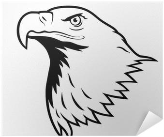 Bald Eagle Silhouette Png