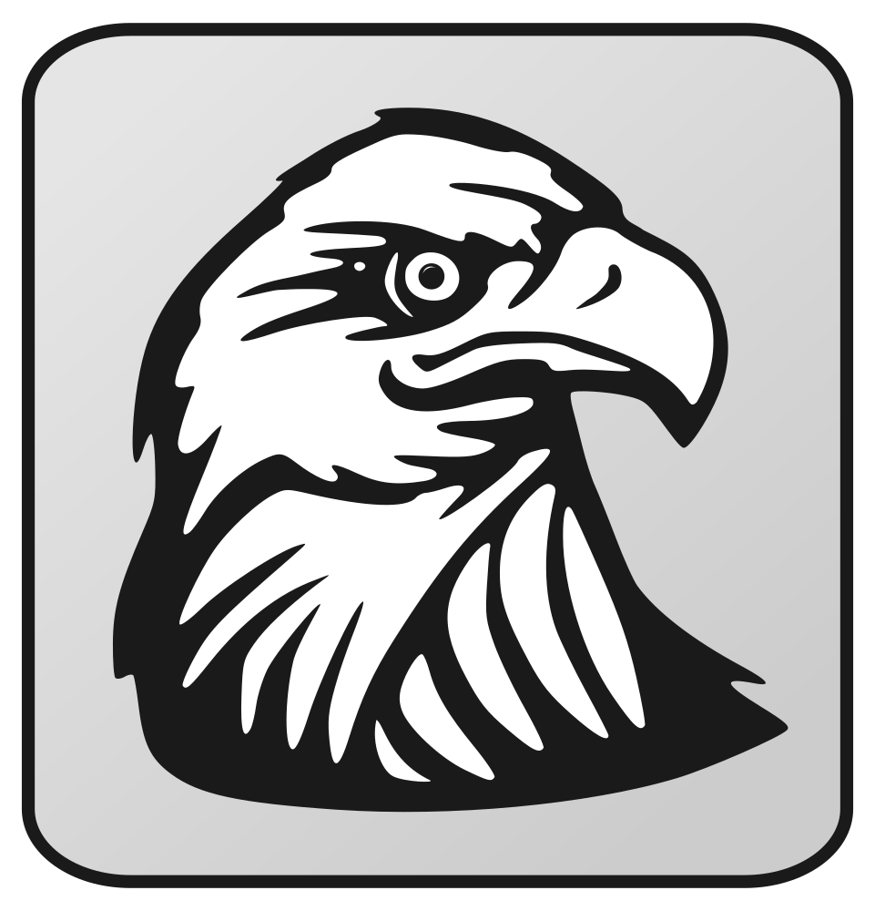 Bald Eagle Golden eagle Clip art  eagle head png download