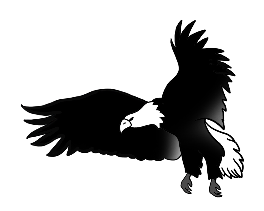 Eagle Black And White Drawing at GetDrawings | Free download - Black Eagle Silhouette