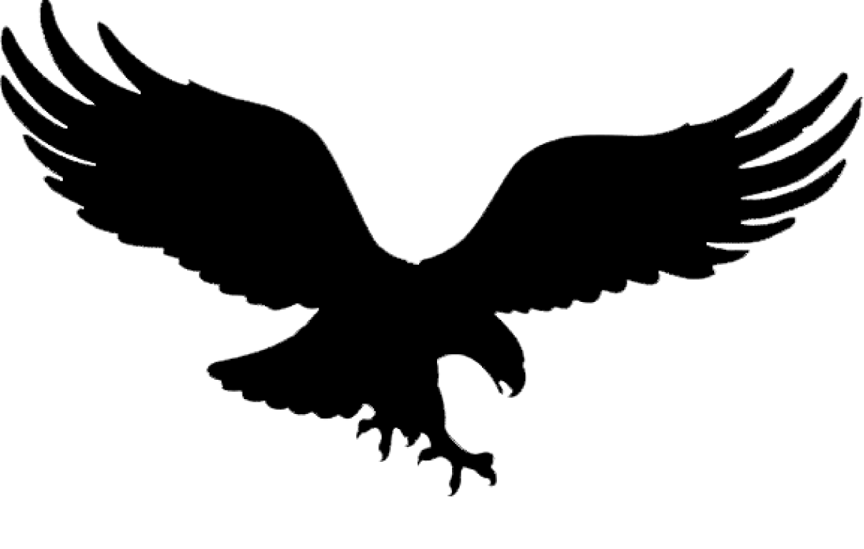 Bald Eagle Golden eagle Tattoo Black eagle - winged eagle ... - Black Eagle Silhouette