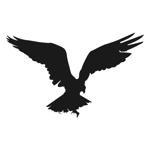 Eagle bird flying silhouette  Transparent PNG  SVG