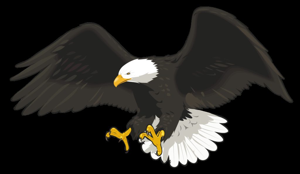 landing eagle clipart  Clip Art Library
