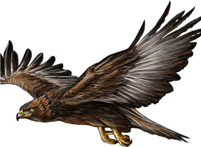 Hawk clipart landing eagle Hawk landing eagle Transparent