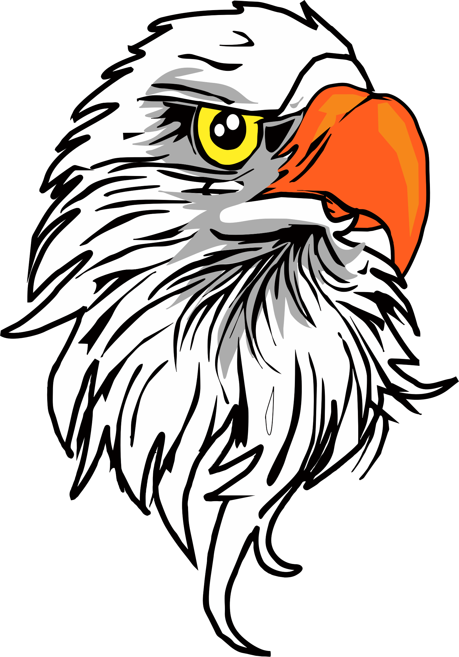Eagle vector png, Eagle vector png Transparent FREE for ... - Eagle SVG
