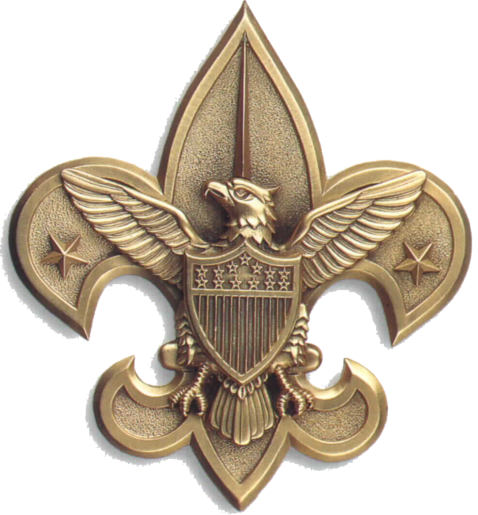 Central Florida Council Eagle Scout Scouting Boy Scouts of ... - Eagle Scout Silhouette