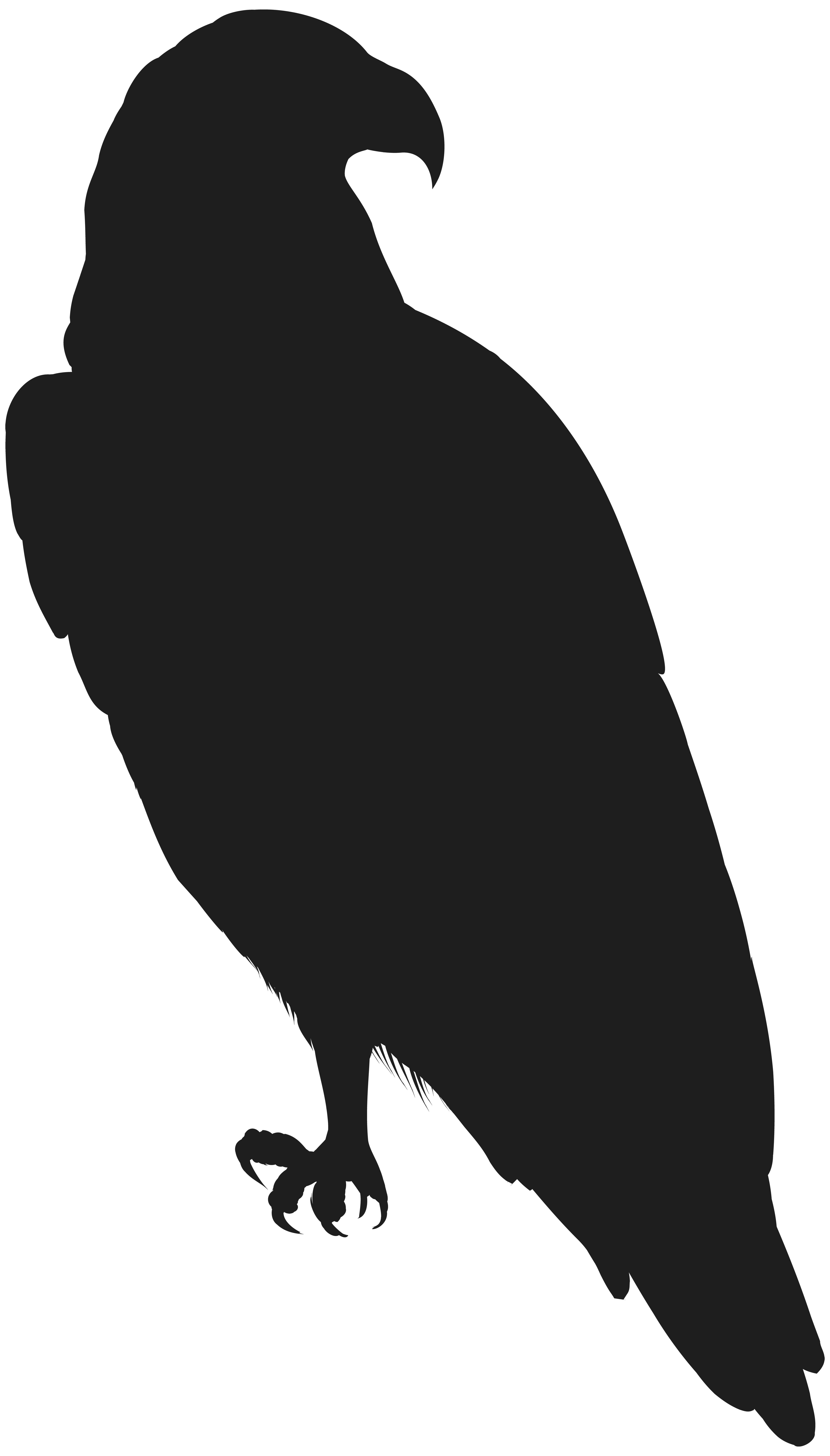 Rose Clip art - Eagle PNG Clip Art Image png download ... - Eagle Scout Silhouette