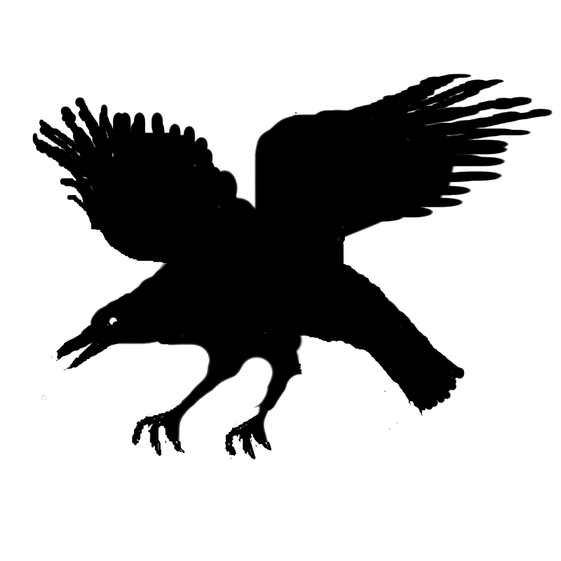 Eagle Silhouette Character Beak  eagle png download  800