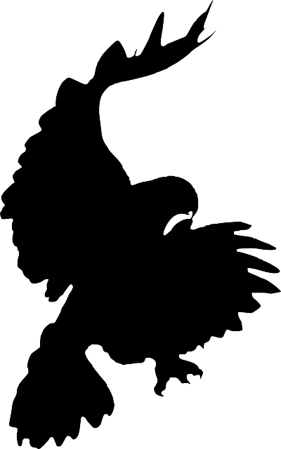 Eagle Bird Silhouette  Free vector graphic on Pixabay