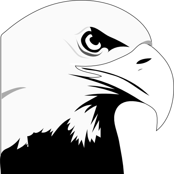 Bald Eagle White-tailed Eagle Clip art - Flying Eagle ... - Eagle Silhouette Outline