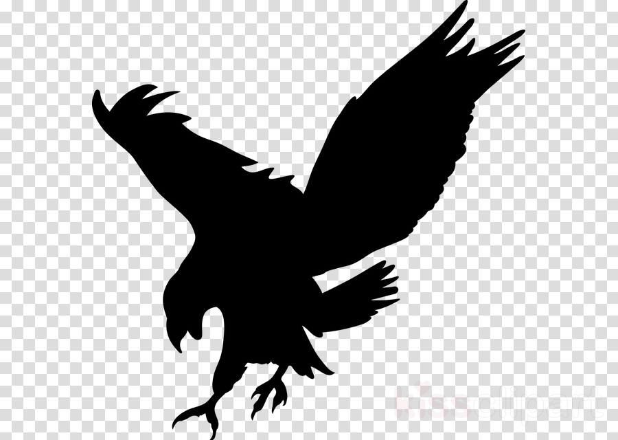 Bald Eagle Silhouette Png
