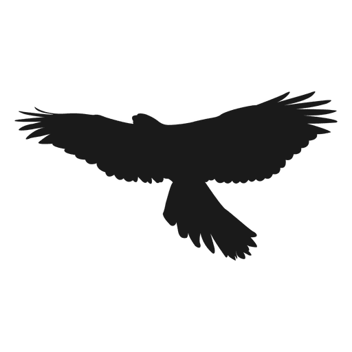 Eagle silhouette  Transparent PNG  SVG vector file