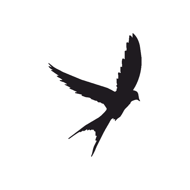 Download Tattoo Swallow Silhouette Bird Eagle Free