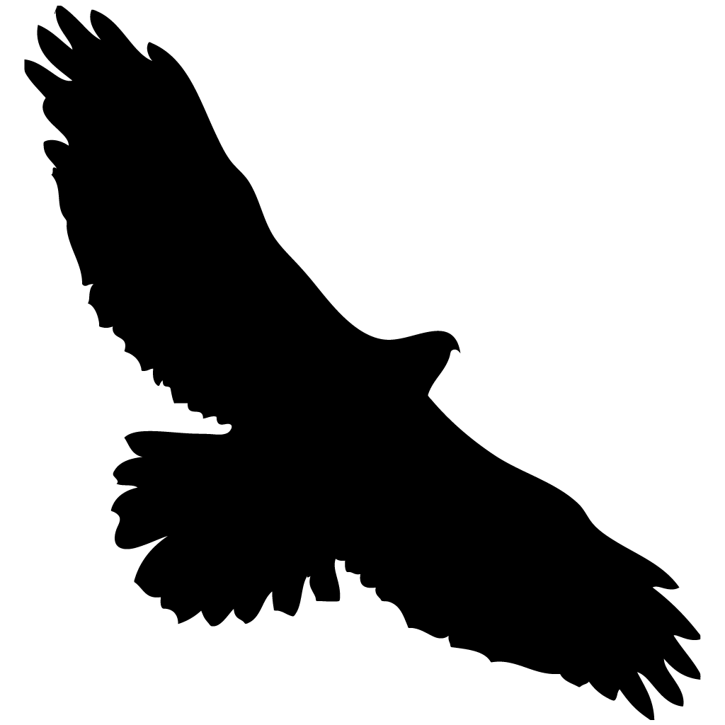 Red Tailed Hawk Silhouette at GetDrawingscom  Free for