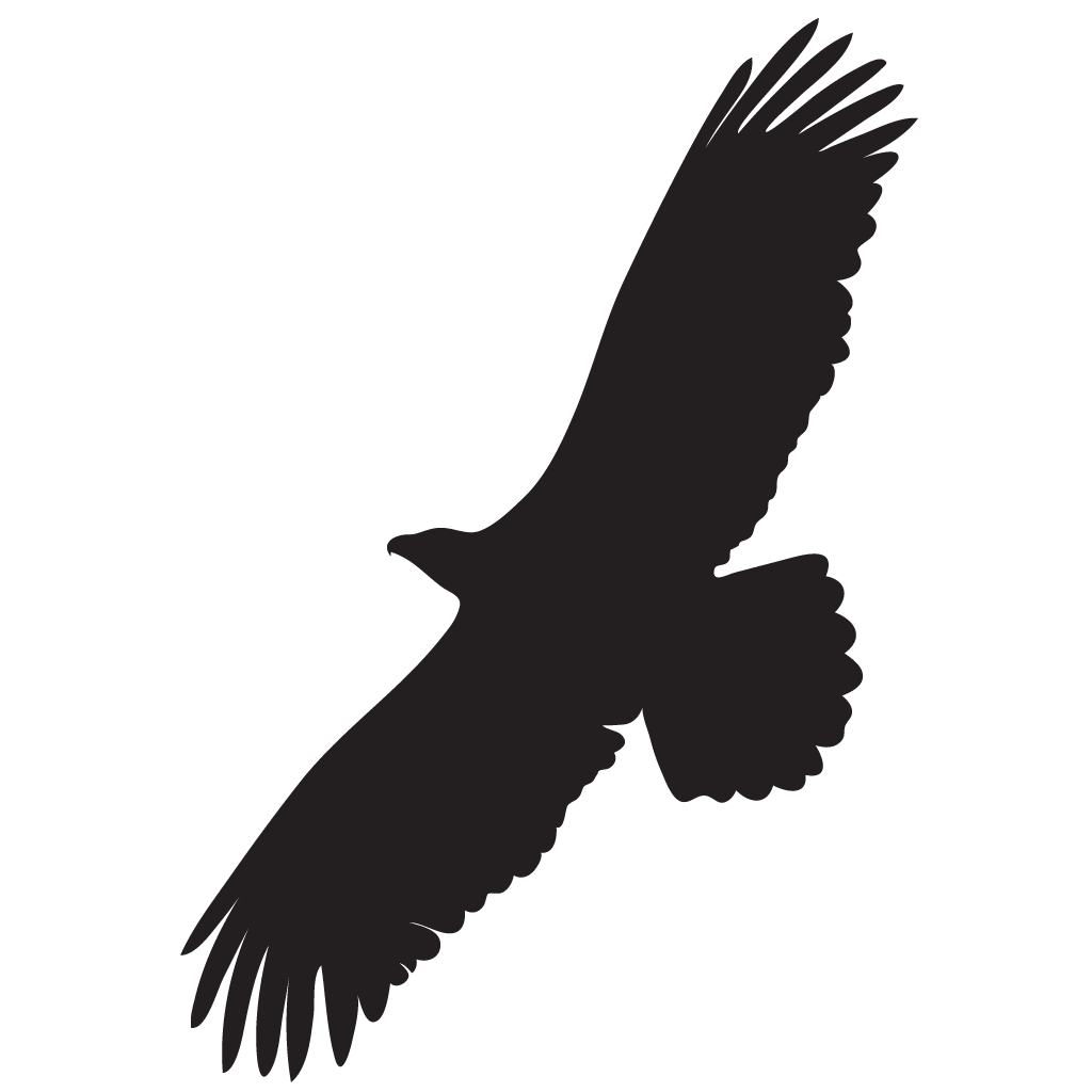 Eagle Wings Silhouette at GetDrawings | Free download - Eagle Wings Silhouette