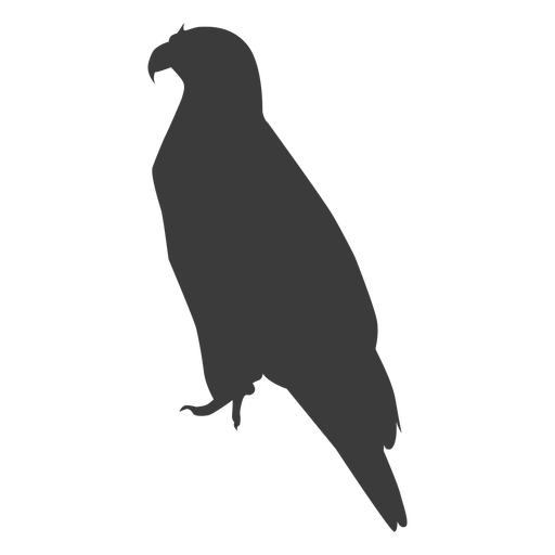 Eagle wing beak talon silhouette  Transparent PNG  SVG