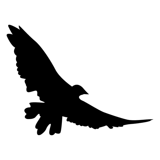 Eagle Wings Flying  Transparent PNG  SVG vector file