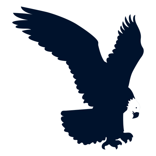 Eagle beak wing silhouette  Transparent PNG  SVG vector file