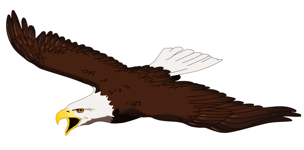 Flying Eagle Clipart  ClipArt Best