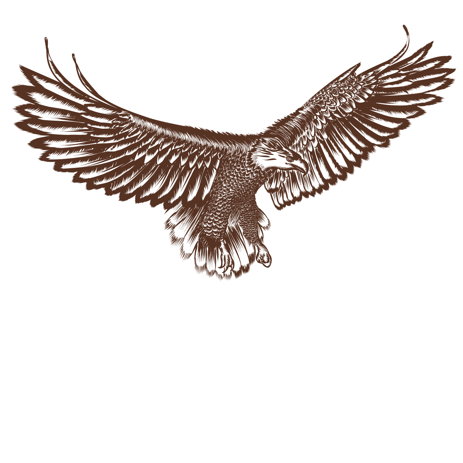 Bald Eagle Hawk - Flying Hawk Silhouette