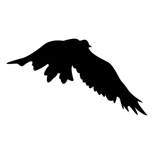 Pájaro volando silueta  Descargar PNGSVG transparente